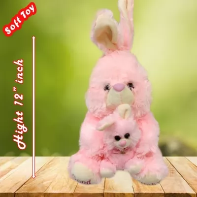 Double rabbit Soft Toy